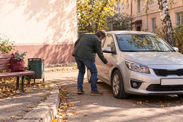 Электронный паспорт автомобиля: что сверить покупателю до расчёта
